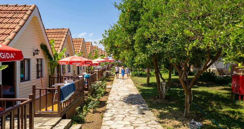 CLOVER MAGİC NOVA BEACH