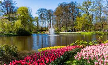 Amsterdam Rüyası Turu