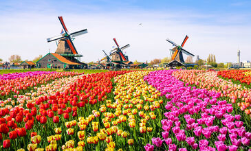 Amsterdam Rüyası Turu